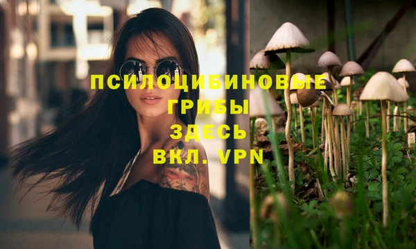 дмт Магадан