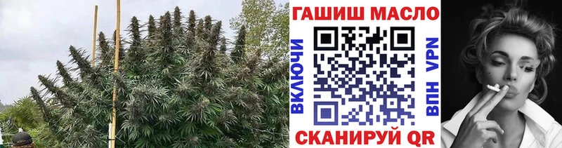 ТГК концентрат Ладушкин