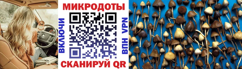 Купить  Ладушкин  Псилоцибиновые грибы MAGIC MUSHROOMS 